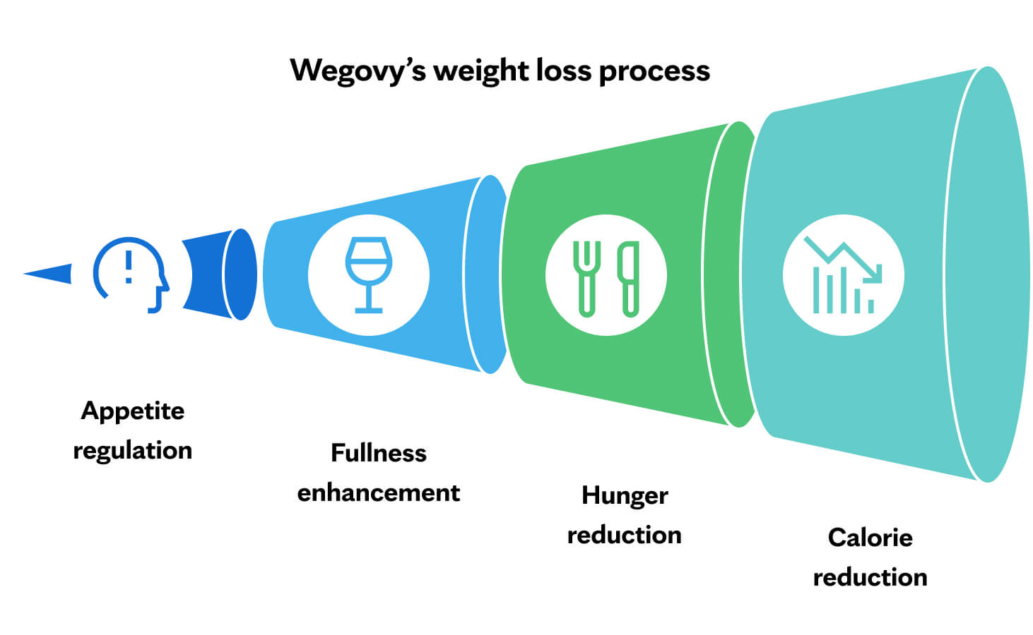 Wegovy's weight loss process: Appetite regulation, Fullness enhancement, Hunger reduction, Calorie reduction